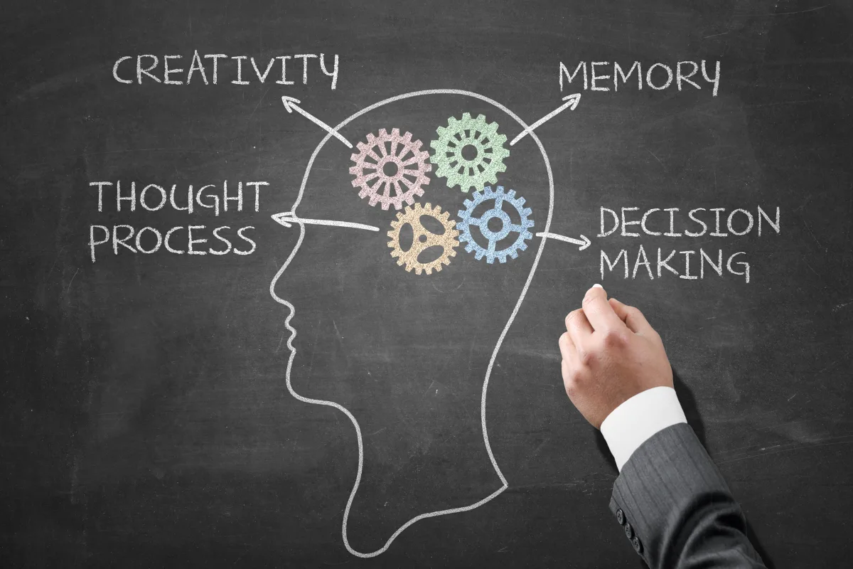 Chalk drawing of a head with gears inside, labeled arrows pointing to "Creativity," "Memory," "Thought Process," and "Decision Making," highlighting Practical Skills with a hand holding chalk—perfect for illustrating Executive Function Coaching.